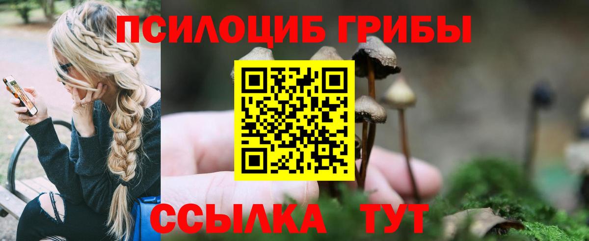 Галлюциногенные грибы мицелий Крымск